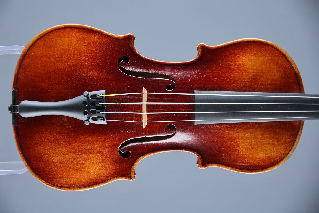 Pleissel Georg - Budweis 1896 - G-802